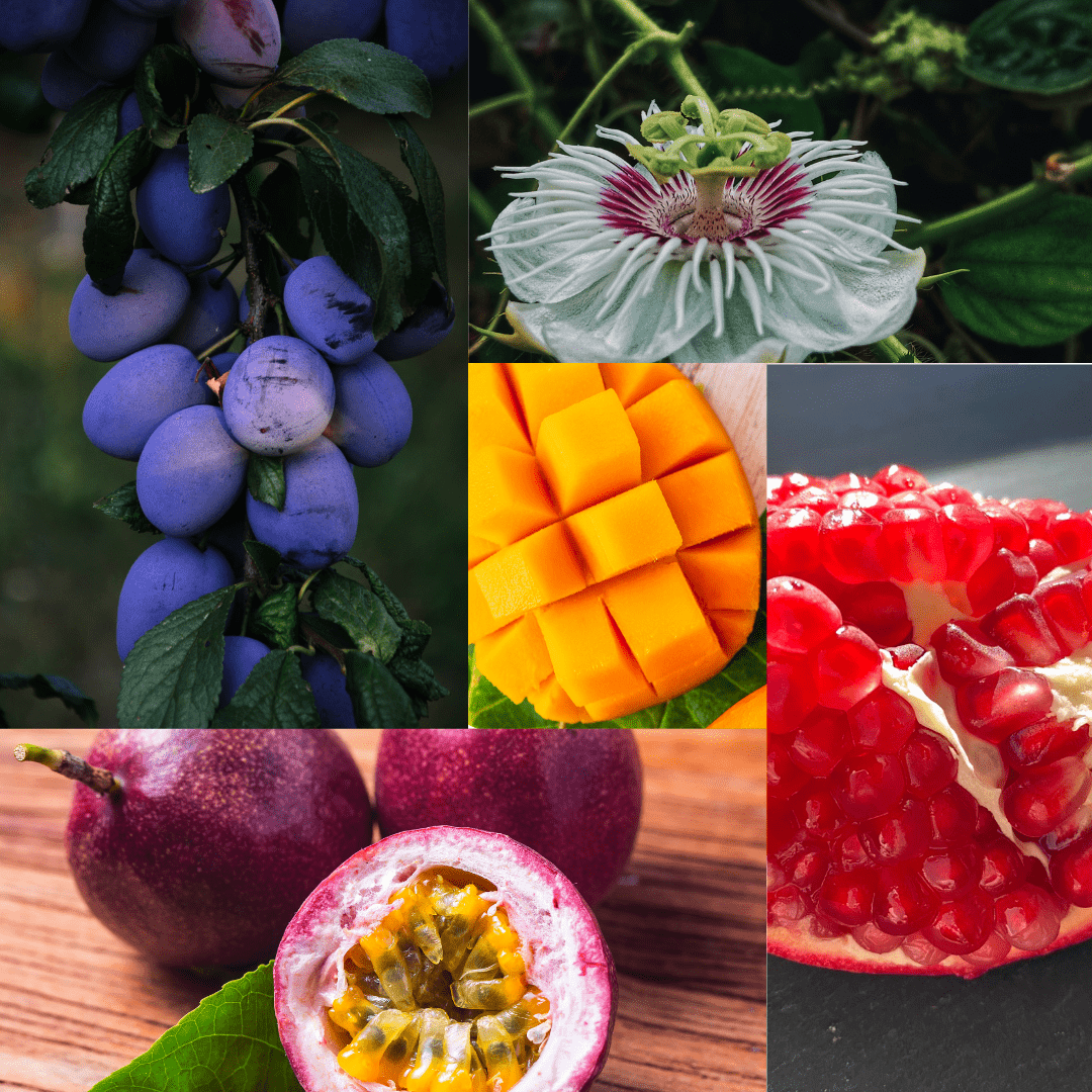 plums, mango, passion fruit, pomegranate.