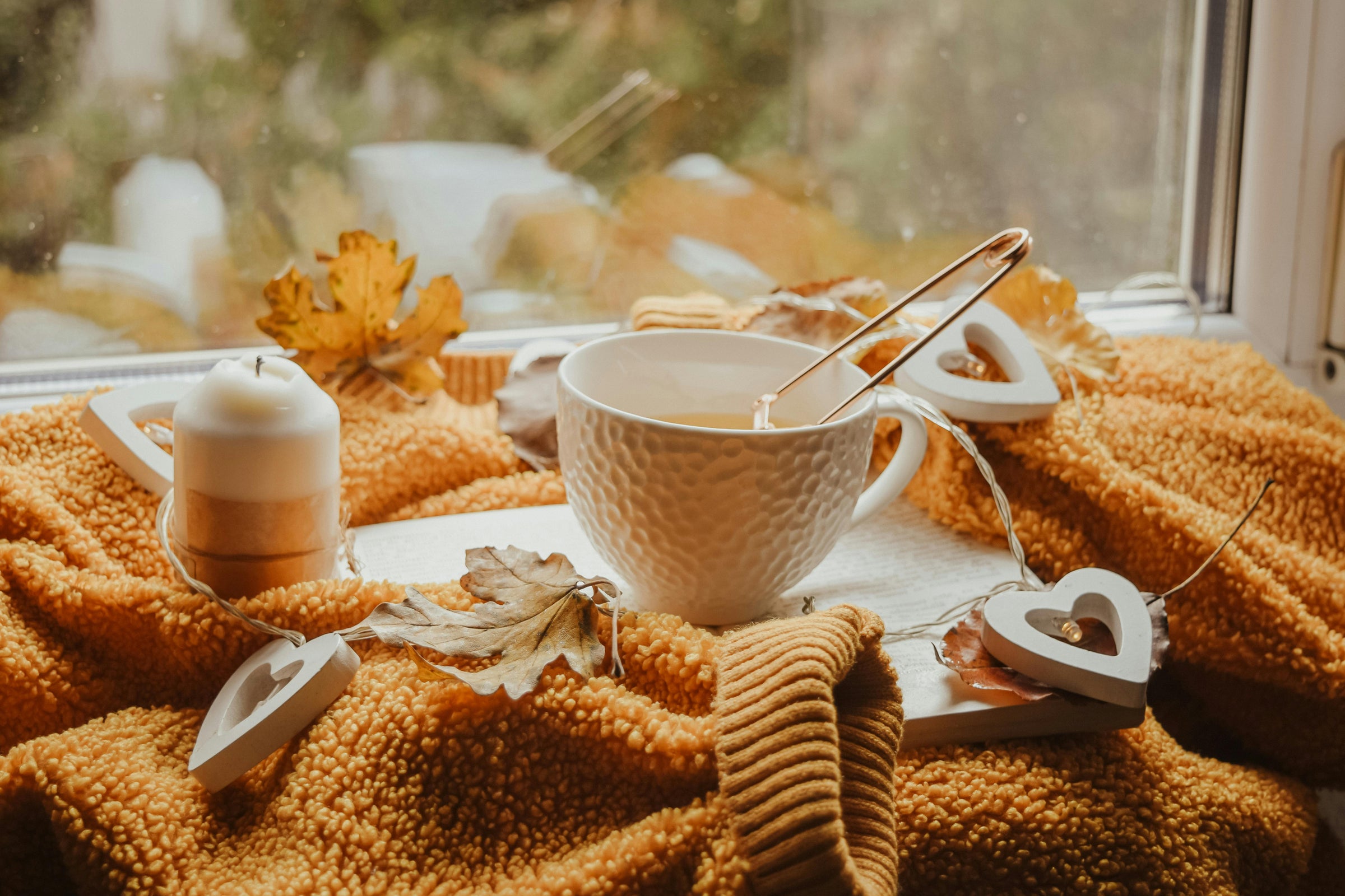 Cozy Fall Care