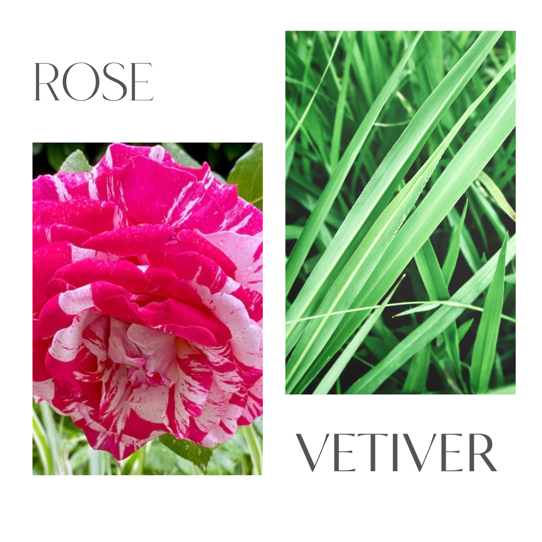 Love Notes: Rose + Citrus+ Vetiver Body Oil