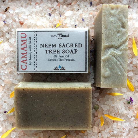 Neem 'Sacred Tree' Soap