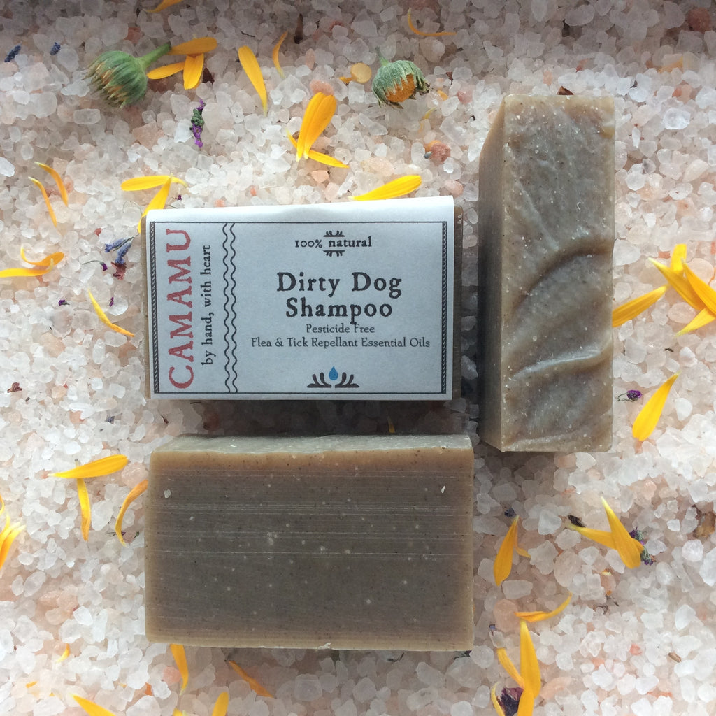 Camamu's Dirty Dog Shampoo is an all-natural dog shampoo made with moisturizing oils and flea and tick repellant essential oils. Completely natural and pesticide free.