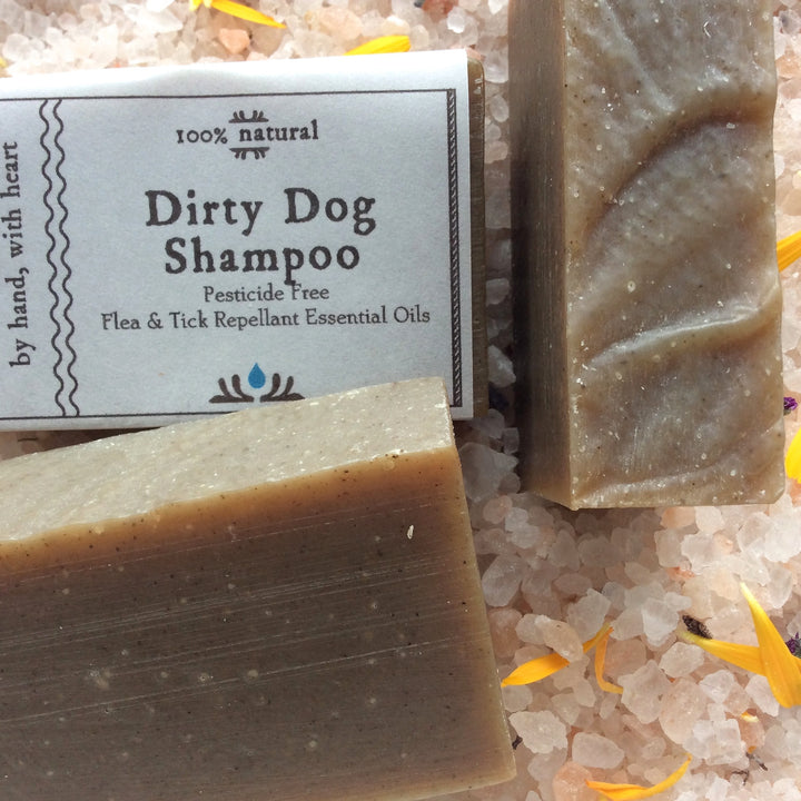 Camamu's Dirty Dog Shampoo is an all-natural dog shampoo made with moisturizing oils and flea and tick repellant essential oils. Completely natural and pesticide free.